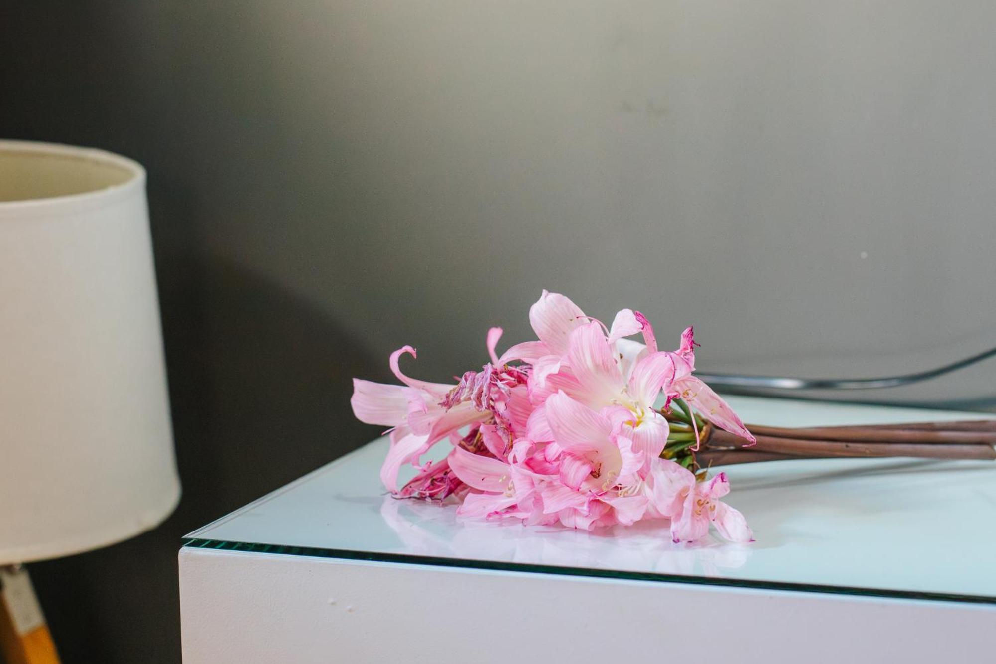 Casa Luis De Camoes - Boutique & Literary House Guest House Santar Ngoại thất bức ảnh